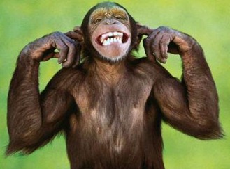 funny_monkey