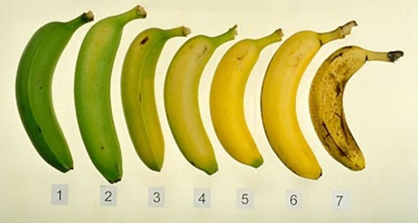 Bananas