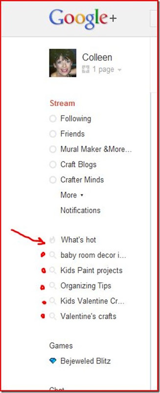 Google-plus-what'shot