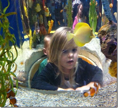 Ripley's Aquarium Gatlinburg TN