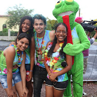  Carnaval_Cantanhede_Bloco_Cana_Limao_2012