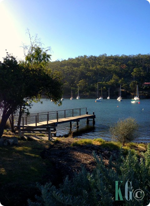 view of the bay boats dock photography pictures tasmania australia