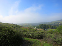 Ridge Route - Looking Back at Cattle Camp Parking Area Photo