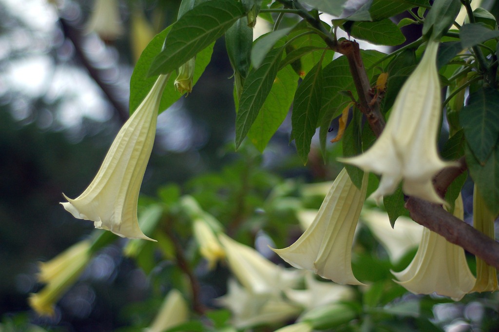 [DSC_0763%255B11%255D.jpg]