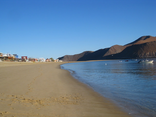 IMG_2895.JPG