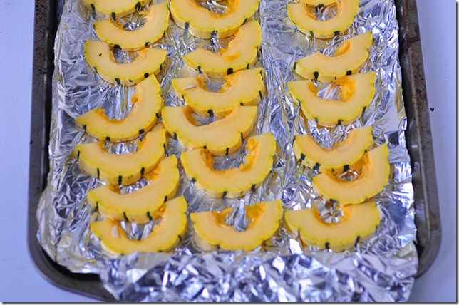 delicata_squash