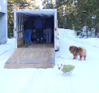 Uncle Carlos!  Please let me off the leash because I cannot watch them unload such a heavy thing as that copper pot!  What if they drop it?  Martha will be very unhappy.