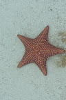 DSC03064.JPG