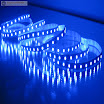 Blue-Color-Flexible-LED-Strip-60-SMD-3528-leds-per-meter-nonwaterproof--.jpg