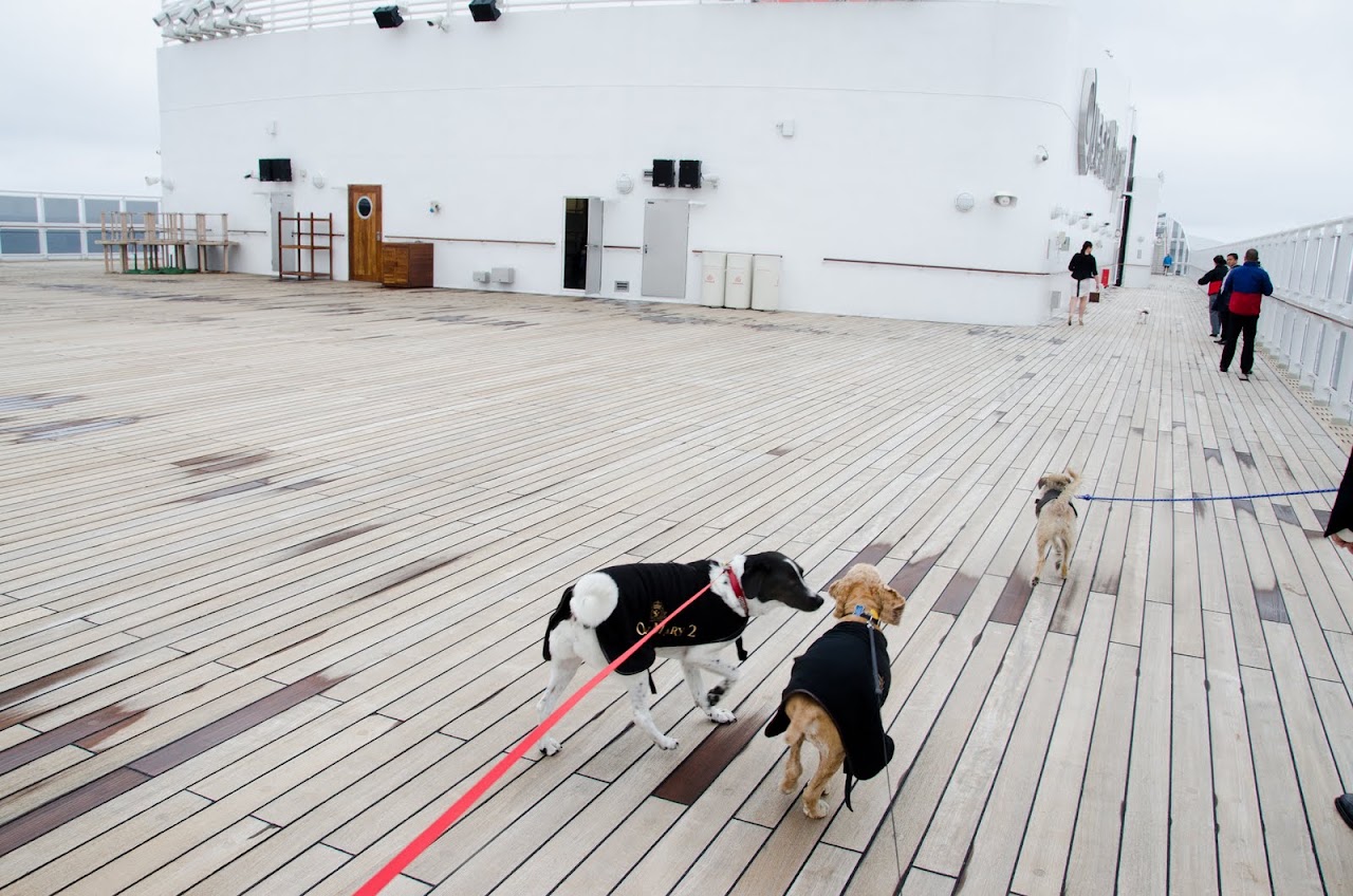 QM2 jackets