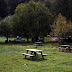 DSC_2378.JPG