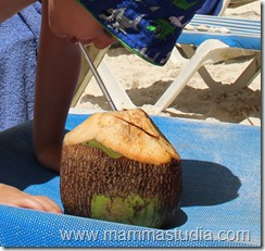 IMG_1881 IMG_1881