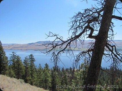 IMG_7118 IMG_7118