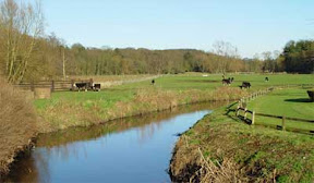 riverscene.jpg