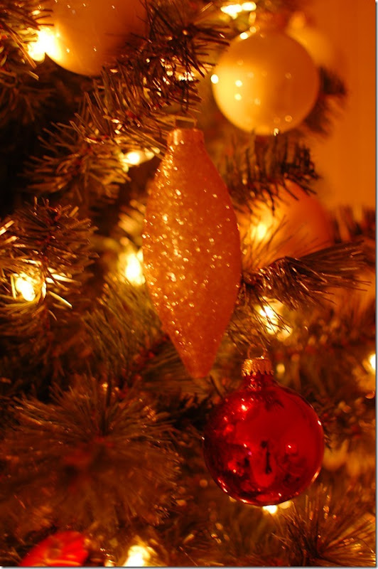 DSC_9514 DSC_9514
