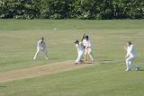 IMG_5391.JPG