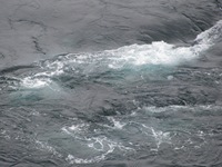 IMG_6432 IMG_6432