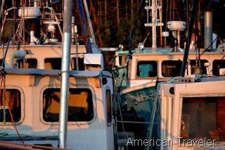 DSC_0504-mi DSC_0504-mi