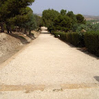 15595145.jpg
