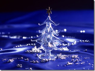 feliz 2013 (2)