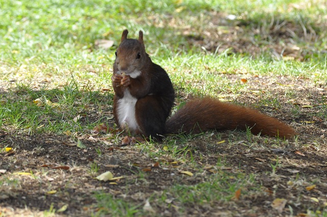 [retiro%252021%2520ag%252011%2520%252837%2529%255B6%255D.jpg]