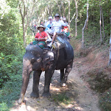 2009-12-01 Phuket Elephant Trek