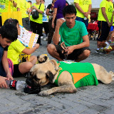Pet Express Doggie Run 2012 Philippines. Jpg (245).JPG