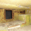 PzW.646 dsc04628.jpg