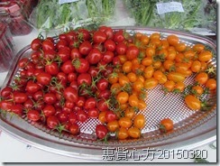 IMG_1205 IMG_1205