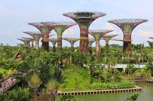 Supertree-Grove-Gardens Supertree Grove Gardens