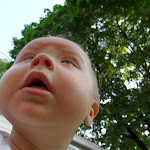 SAM_1338.JPG