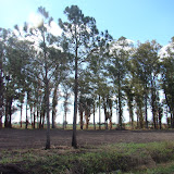 DSC02105.JPG