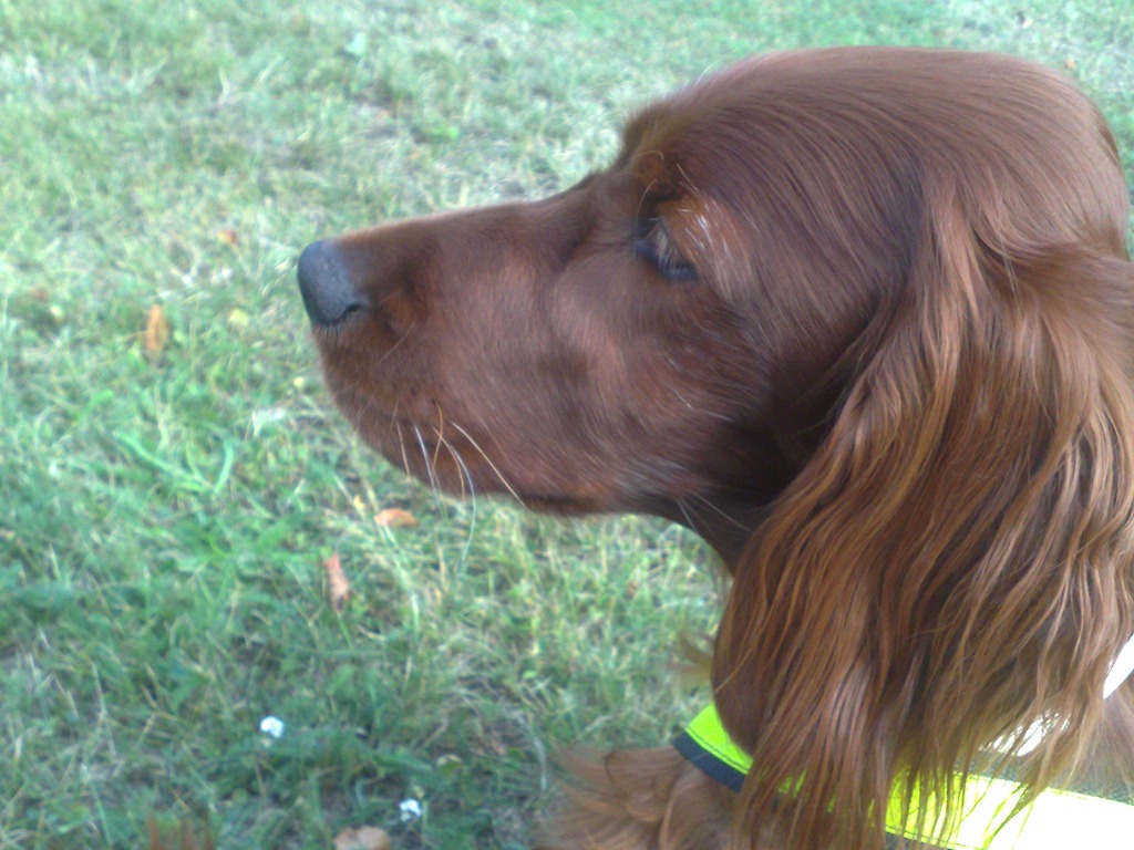 [Bild362%255B3%255D.jpg]