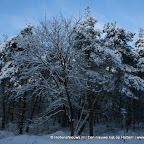 3-1-2010-047.jpg