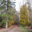 2012--11-11-Joledi-wandeling-Berismenil-fotos Carine 054.jpg