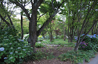 Botanic Gardens