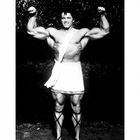 [arnold%2520schwarzenegger%2520timeline%25202%255B2%255D.jpg]