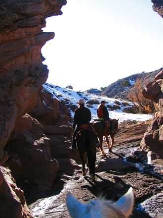 [IMG_86265.jpg]