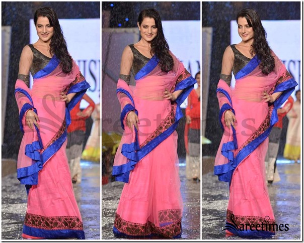 Amisha_Patel_Manish_Malhotra_Saree (2)