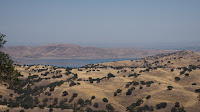 DSC02984.jpg