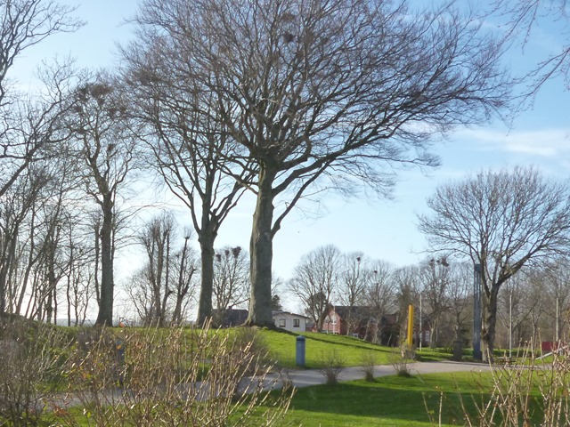 P1120195