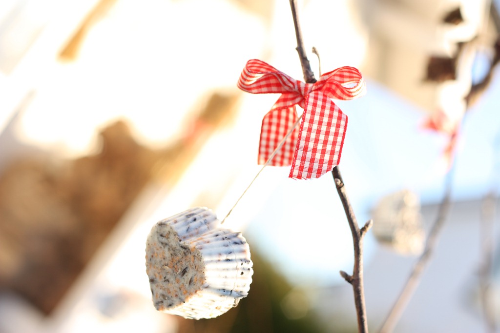 [IMG_1706%255B4%255D.jpg]