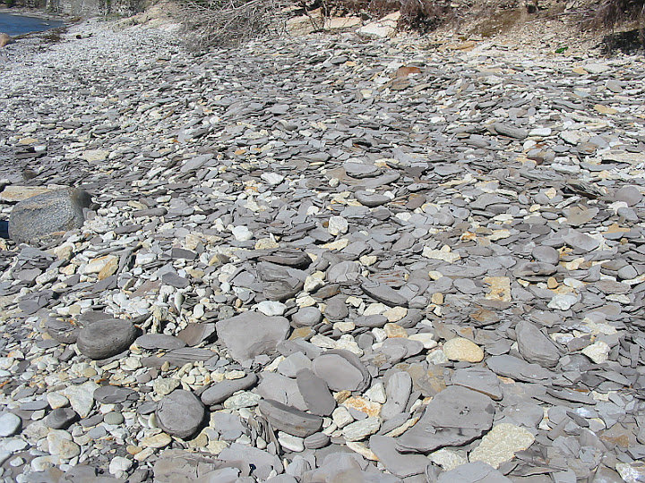 Oil Shale Sedimentary Rocks