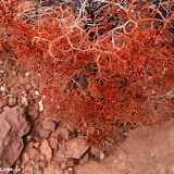 Park Avenue -  Arches National Park -   Moab - Utah