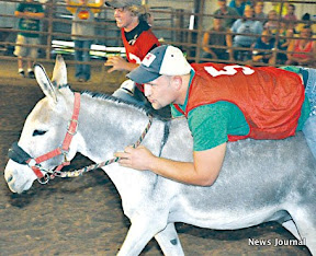 3 col donkey5.jpg