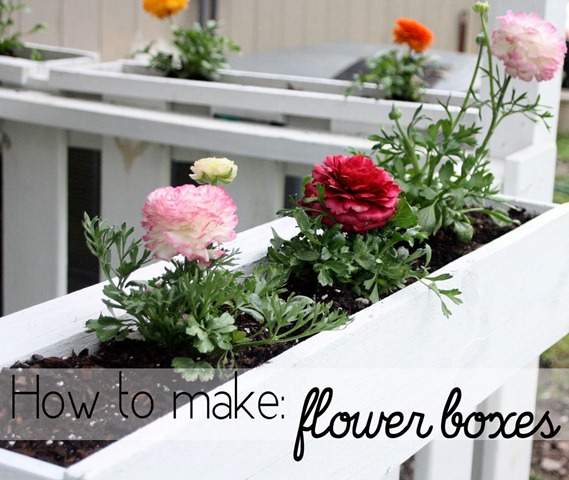[flower%2520boxes%2520graphic%255B3%255D.jpg]