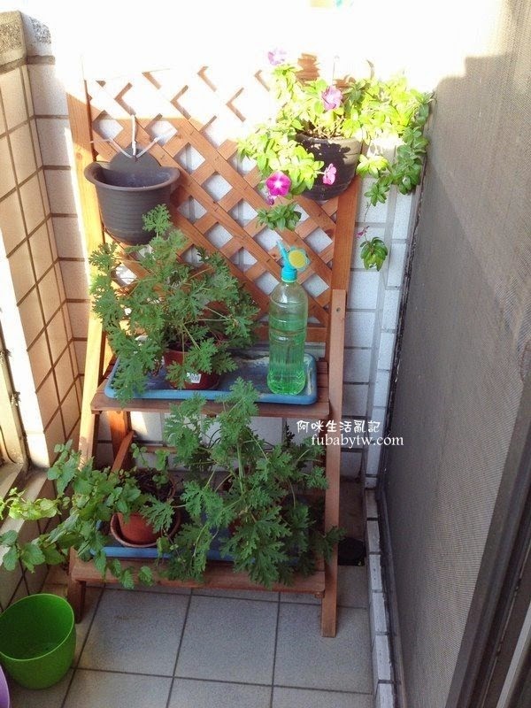 調整大小IMG_6591 調整大小IMG_6591