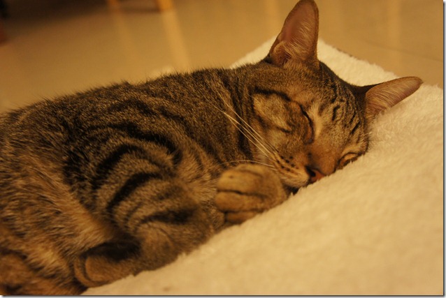 DSC00314 DSC00314