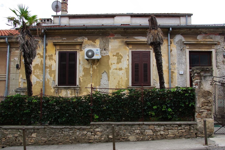 IMGP4394.JPG