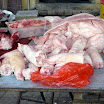 c17.jpg